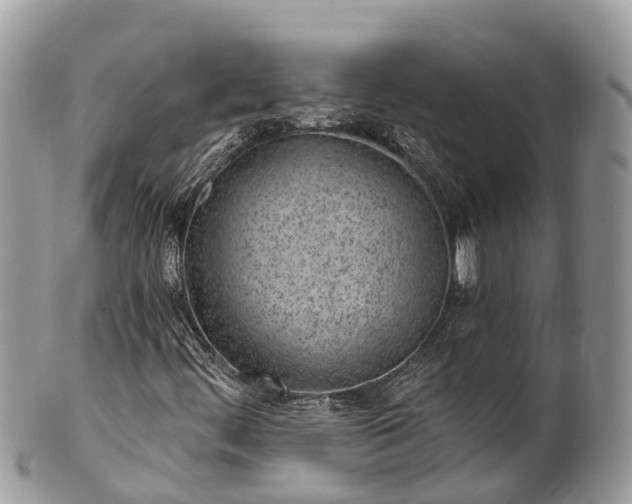 X0000101181444200807071234