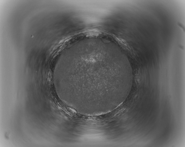 X0000101181445200807071234