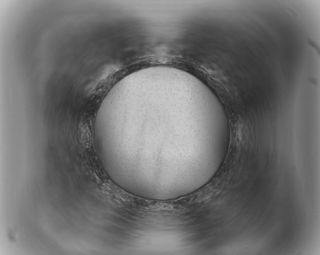 X0000101181446200807071234