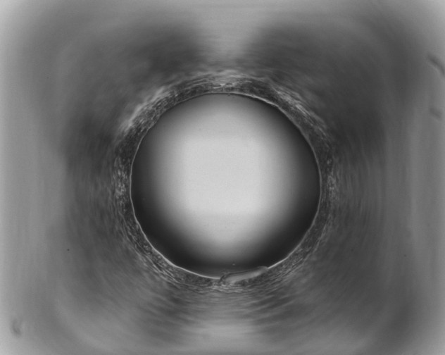 X0000101181447200807071234