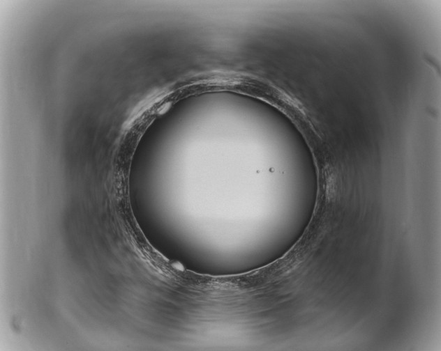 X0000101181448200807071234