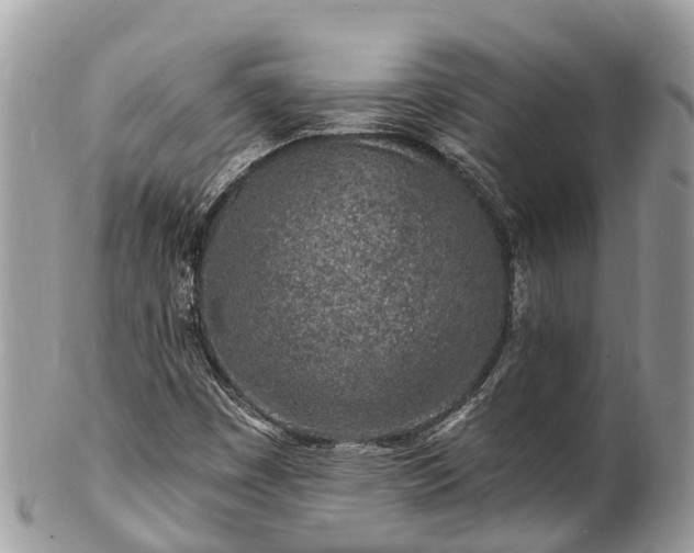 X0000101181449200807071234