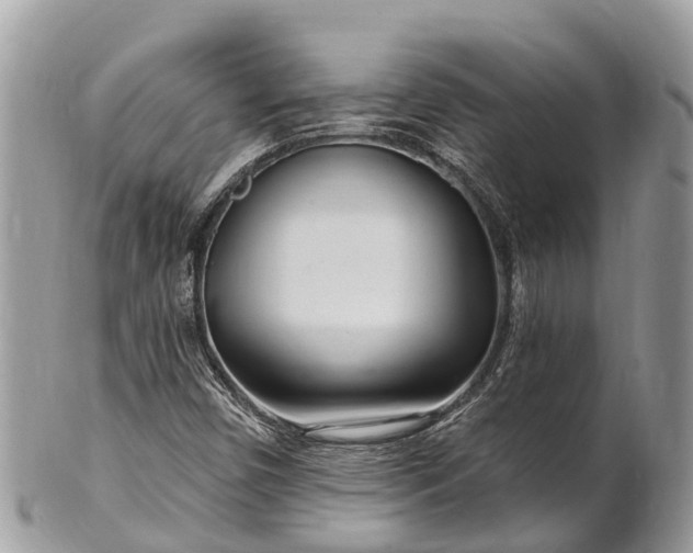 X0000101181450200807071234