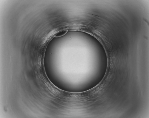 X0000101181451200807071234