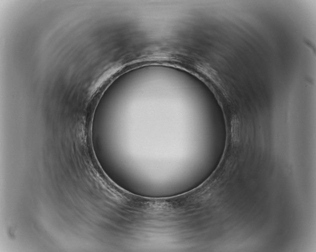 X0000101181452200807071234