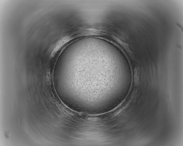 X0000101181453200807071234
