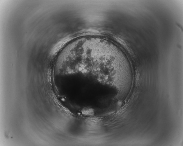 X0000101181455200807071234