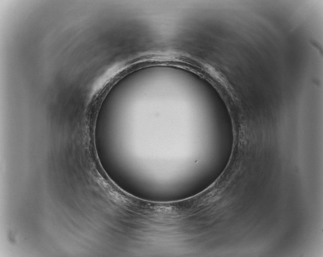 X0000101181456200807071234