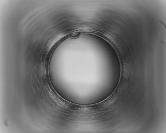 X0000101181458200807071234