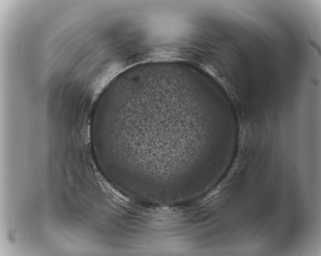 X0000101181459200807071234
