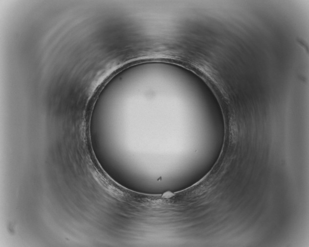 X0000101181460200807071234