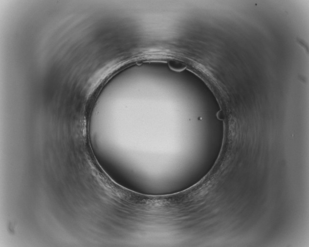 X0000101181461200807071233