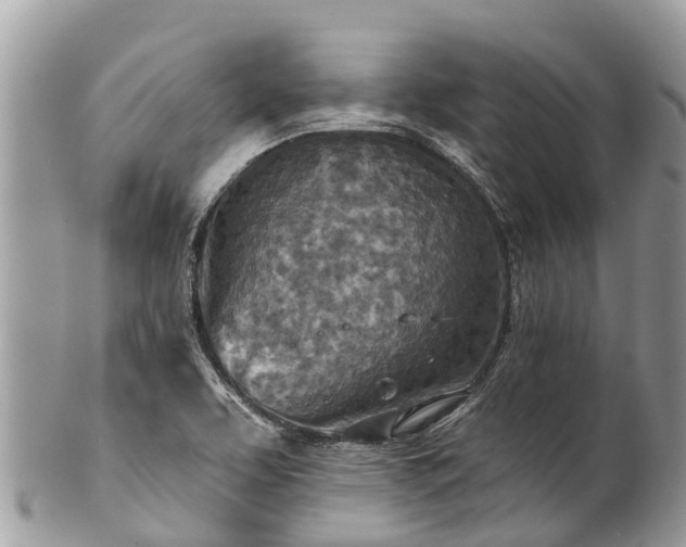 X0000101181463200807071233