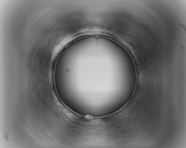 X0000101181464200807071233