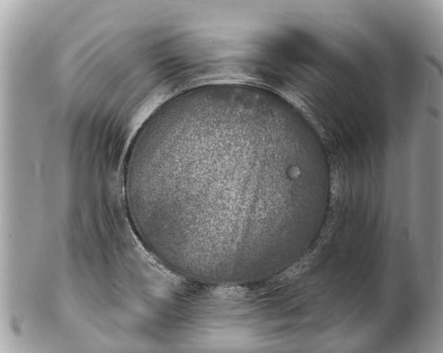 X0000101181466200807071233
