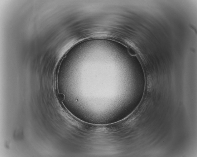 X0000101181467200807071233