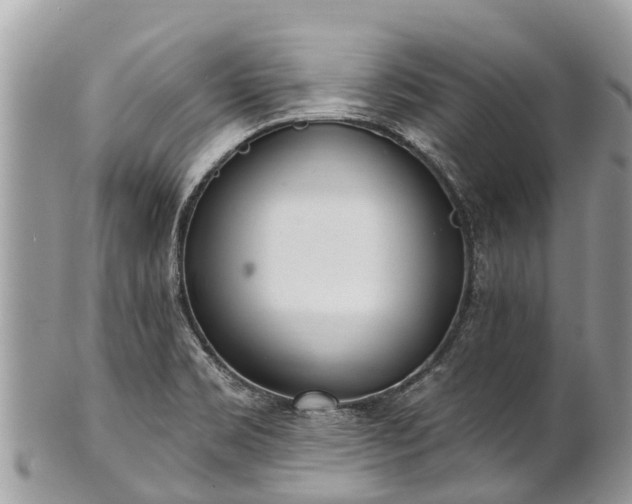 X0000101181469200807071233