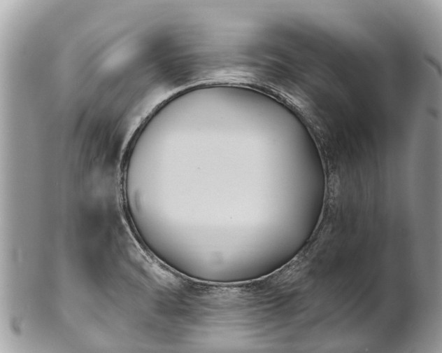 X0000101181470200807071233