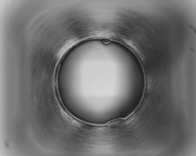 X0000101181471200807071233