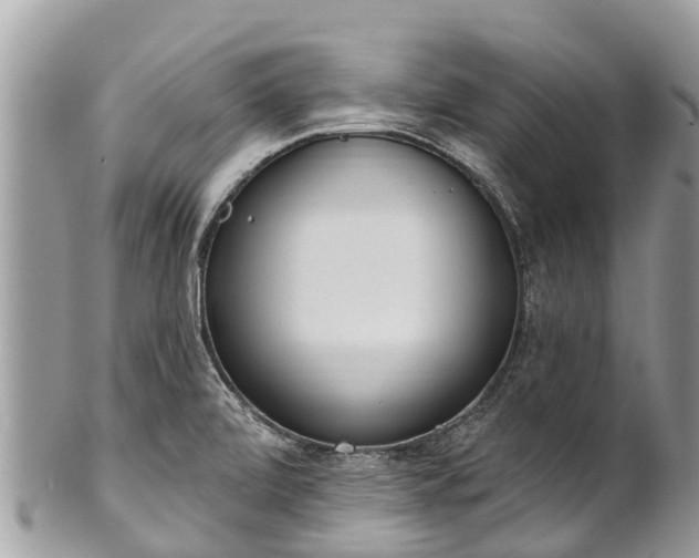 X0000101181472200807071233