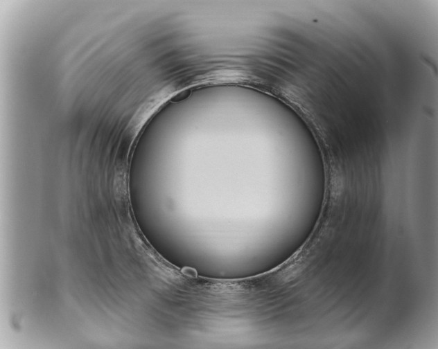 X0000101181473200807071233