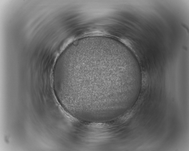 X0000101181474200807071233
