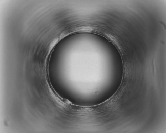 X0000101181475200807071233