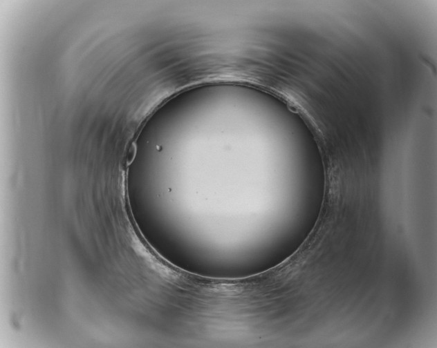 X0000101181476200807071233