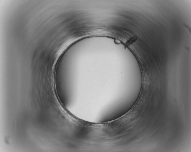 X0000101181478200807071233