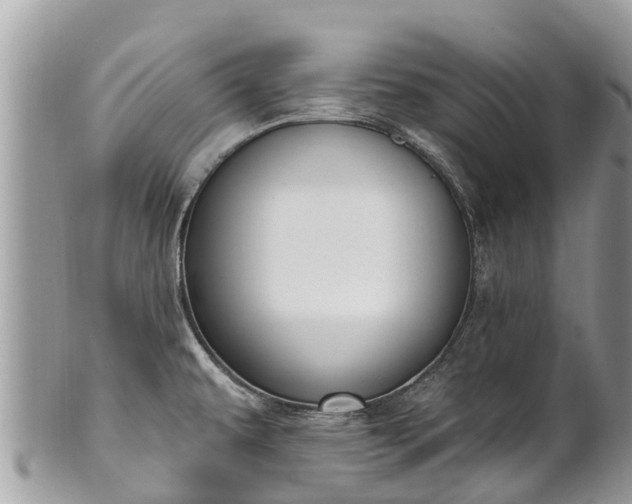 X0000101181479200807071233