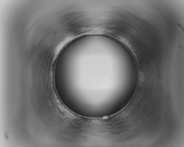 X0000101181480200807071233