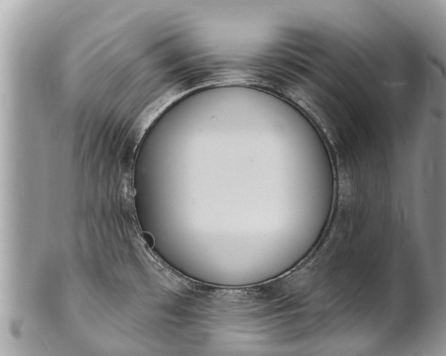 X0000101181481200807071233