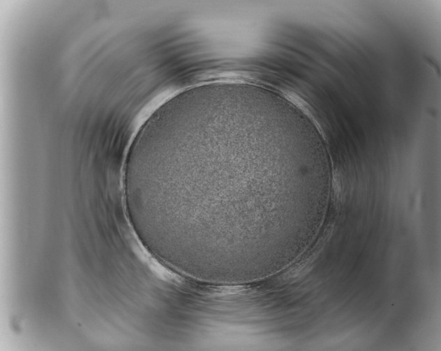 X0000101181482200807071233