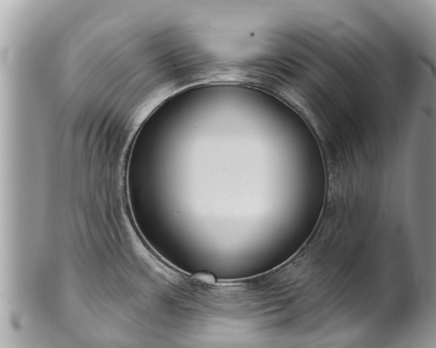 X0000101181483200807071233