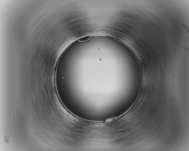 X0000101181484200807071233