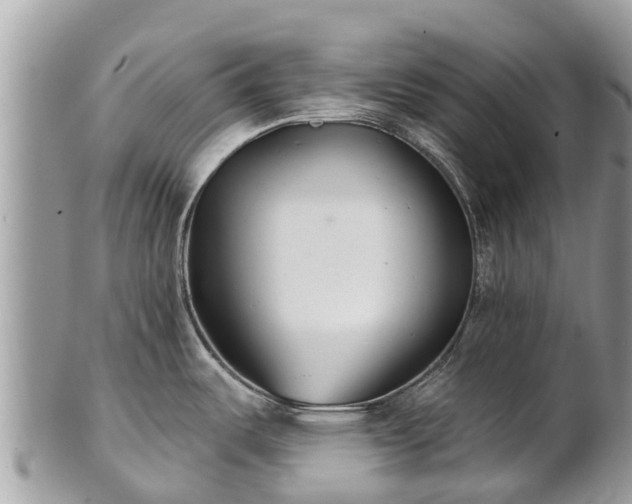 X0000101181487200807071233