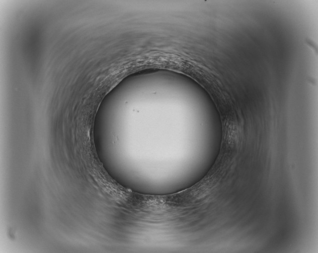 X0000101181489200807071232