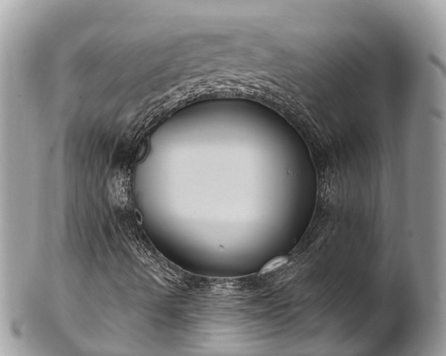 X0000101181490200807071232