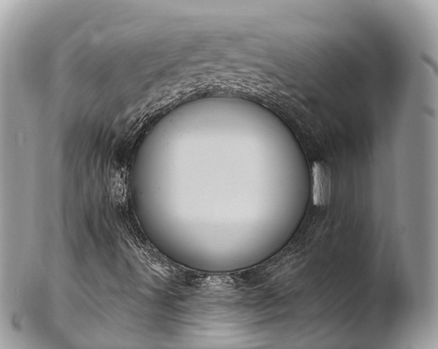 X0000101181491200807071232