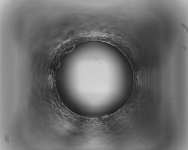 X0000101181493200807071232