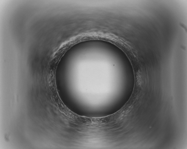 X0000101181494200807071232