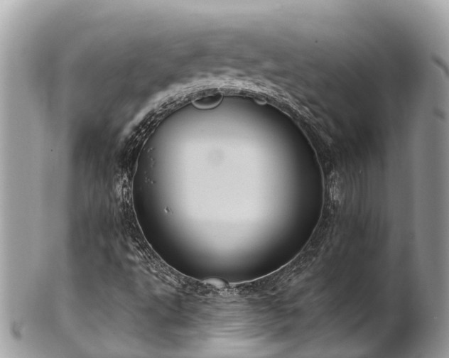 X0000101181495200807071232