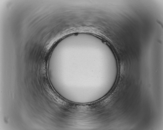 X0000101181498200807071232