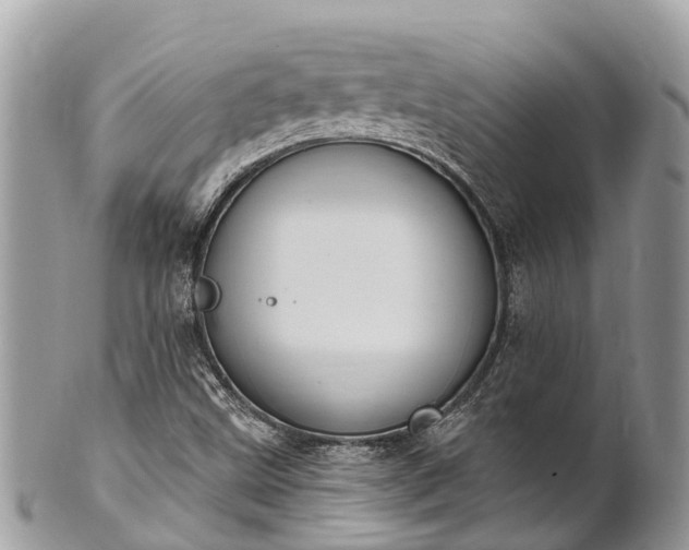 X0000101181499200807071232