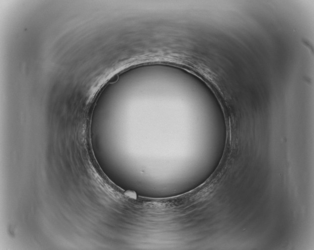X0000101181500200807071232