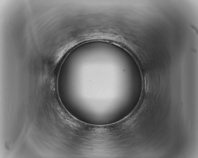 X0000101181501200807071232