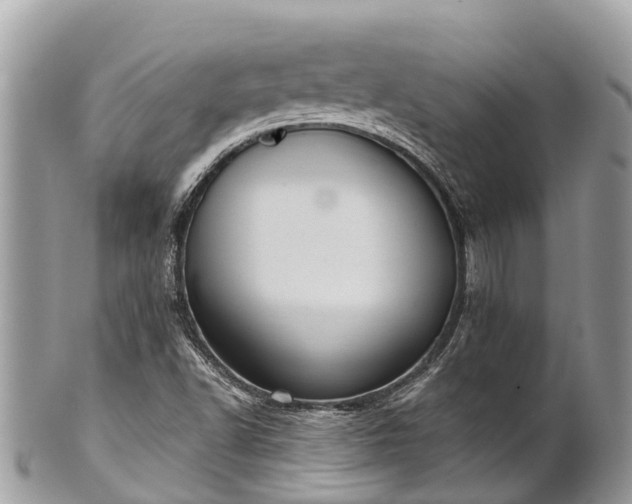 X0000101181502200807071232