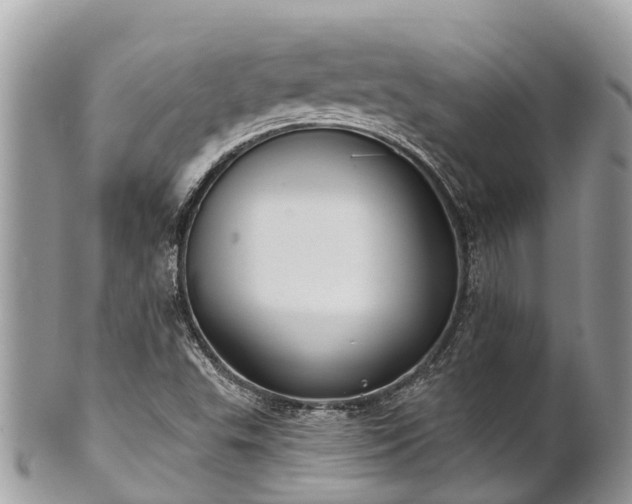 X0000101181503200807071232