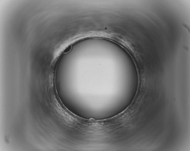 X0000101181504200807071232