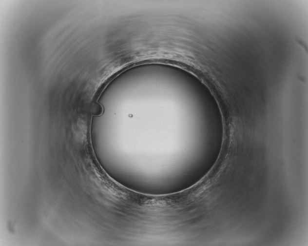 X0000101181505200807071232